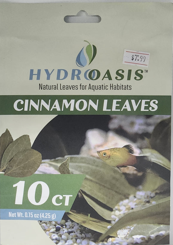 HydrOasis Cinnamon Leaves 10 Count