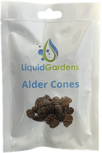 Liquid Gardens Alder Cones 25pk