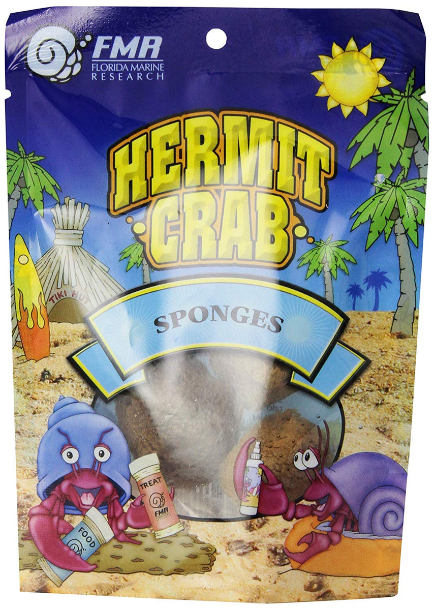 FMR Hermit Crab Swimming Pool / Water Sponge Dish 4 Bright Yellow New