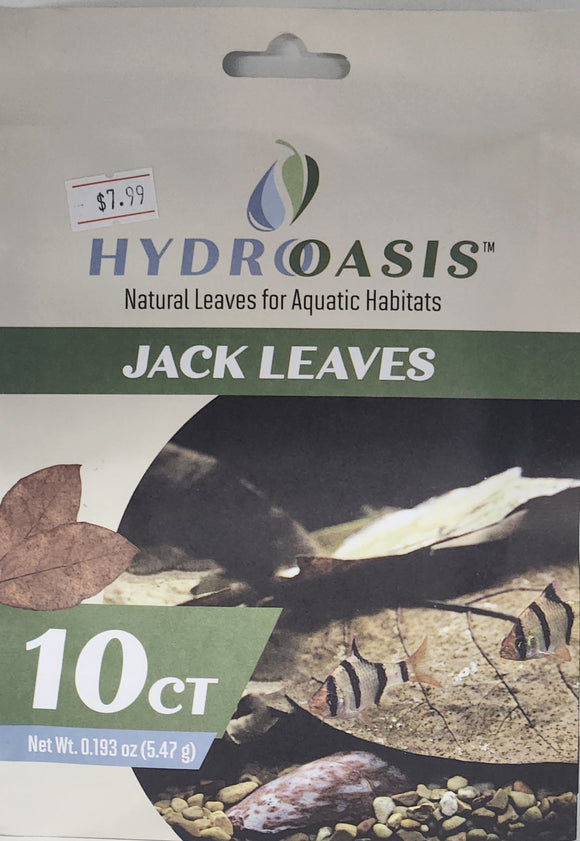 HydrOasis Jack Leaves 10 Count