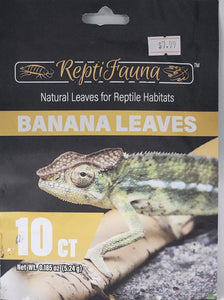 Reptifauna Banana Leaves 10 Count