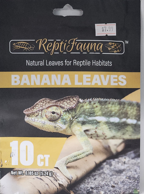 Reptifauna Banana Leaves 10 Count