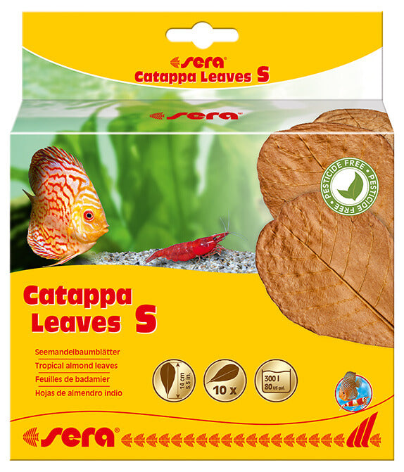 Sera   Catappa Leaves S 14 Cm 10 Pcs