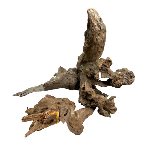 Congo Wood Small
