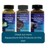 Aquaculture-One Marine Natural Nori Algae Pads: Algae Pads / .50 oz