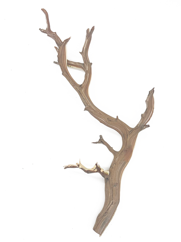 Naturescapes Ghostwood Natural 10-12