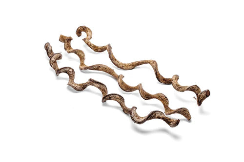 W3 Jungle Vine Wood Small: 11-12