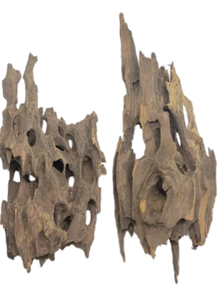 Lifegard Dragon Wood Small 4