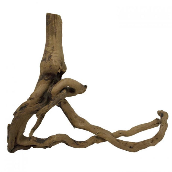 Aquaglobe Spiderwood, X-Large