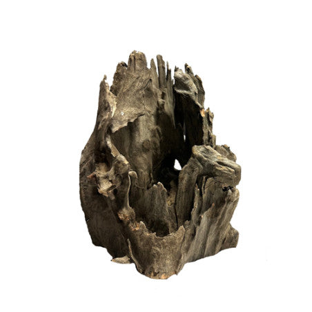 AQUAGLOBE Stumpwood XL 12