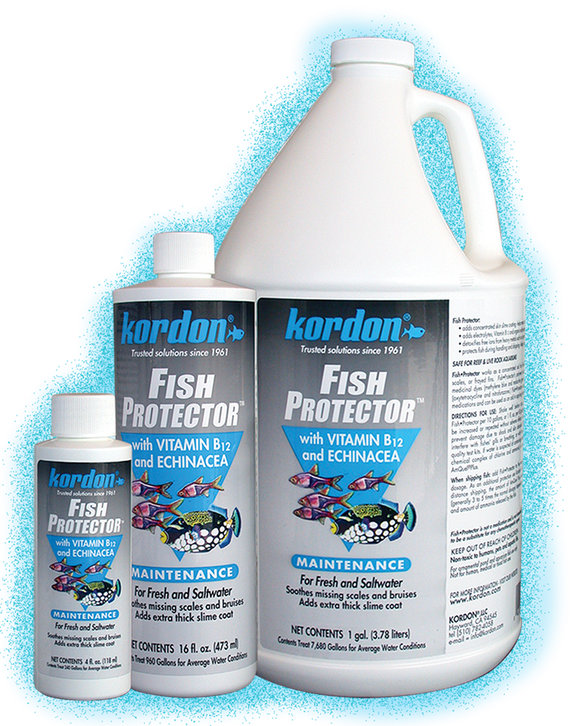 Kordon Fish Protector - 4 fl oz – TK Aquatics