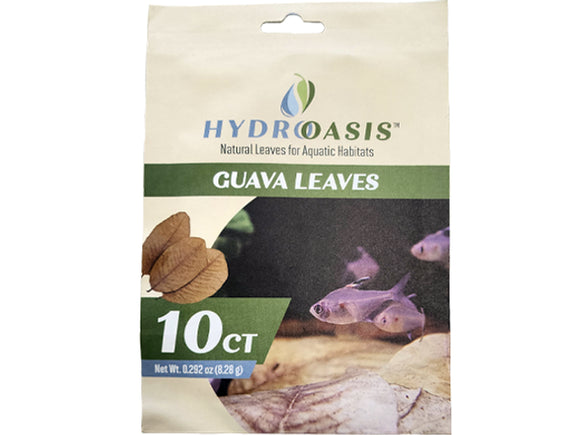 HydrOasis Guava Leaves 10 Count