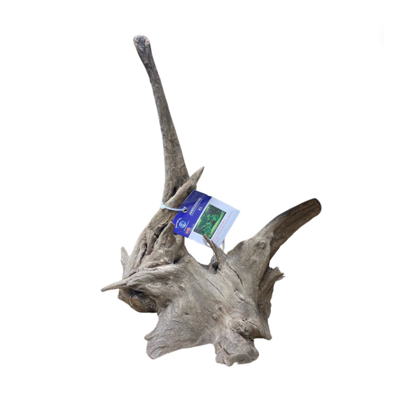 Aquaglobe Janglewood, X-Large