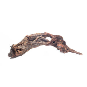 Malaysian Driftwood Medium 12"-16"