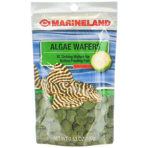 Marineland Tropical Algae Wafers 3.53 oz with Zucchini
